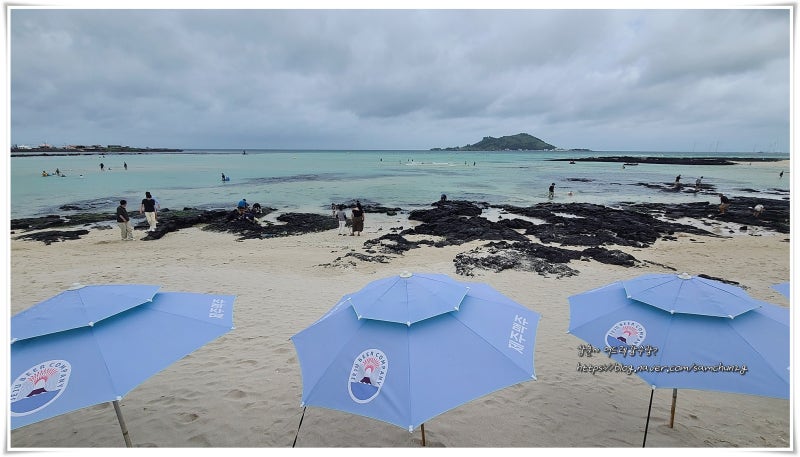 제주도 해수욕장 추천 제주 금능해수욕장 금능해변