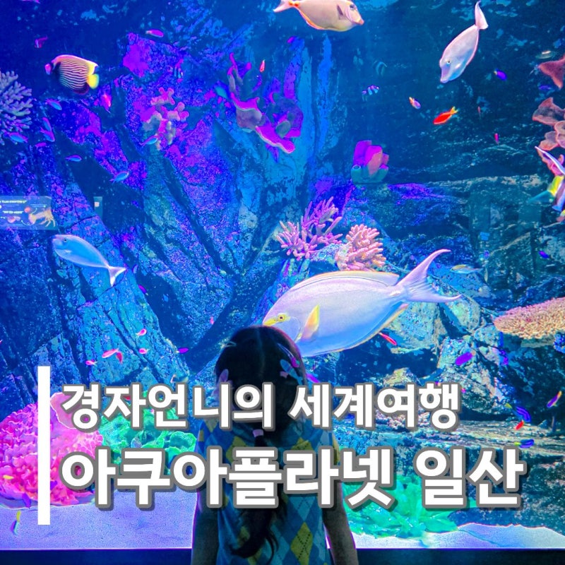 일산 아쿠아플라넷 아이랑 갈만한 곳 아쿠아리움 실내동물원