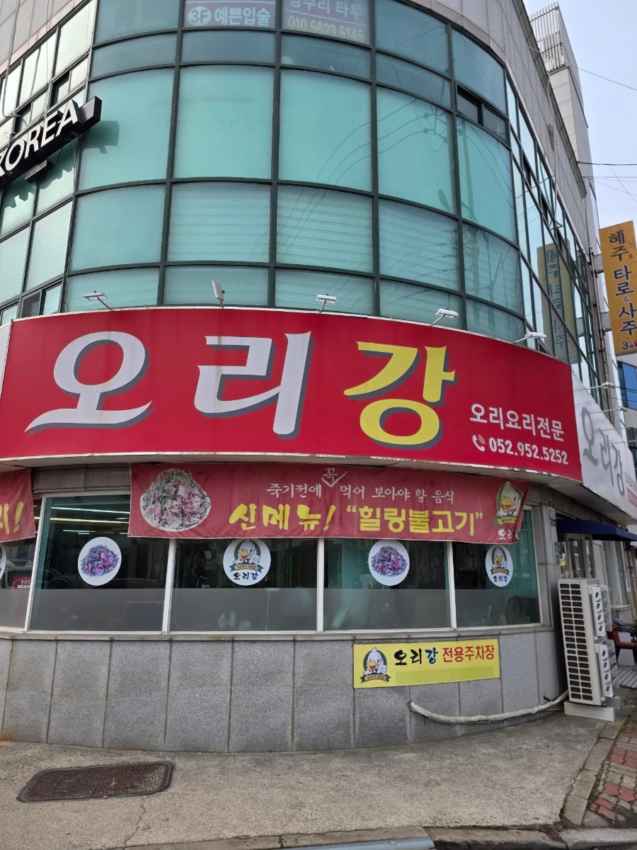 오리강 사진 1
