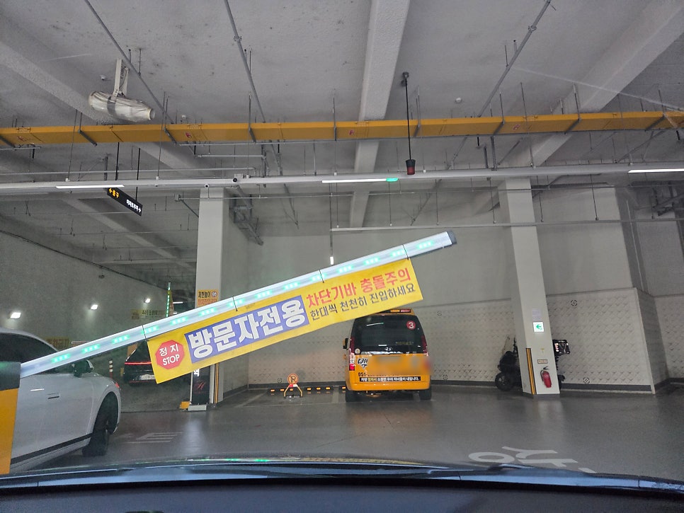 와니네 사진 2