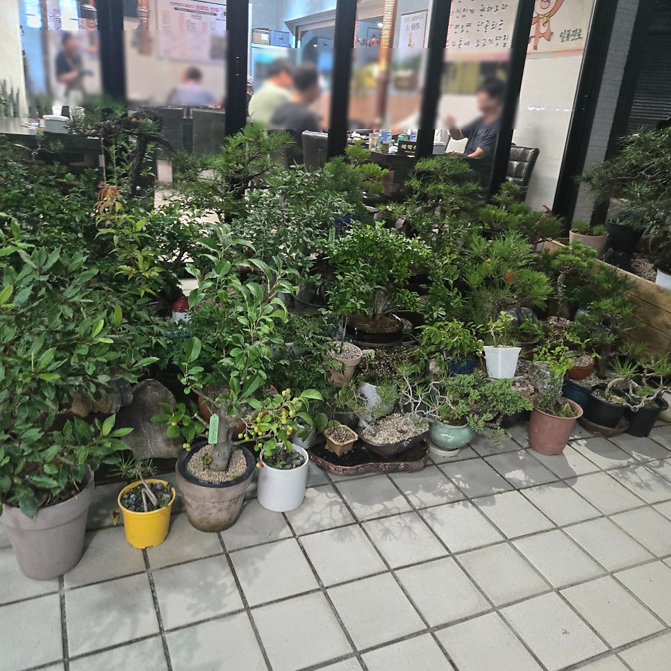 해운대최부자한우 사진 2