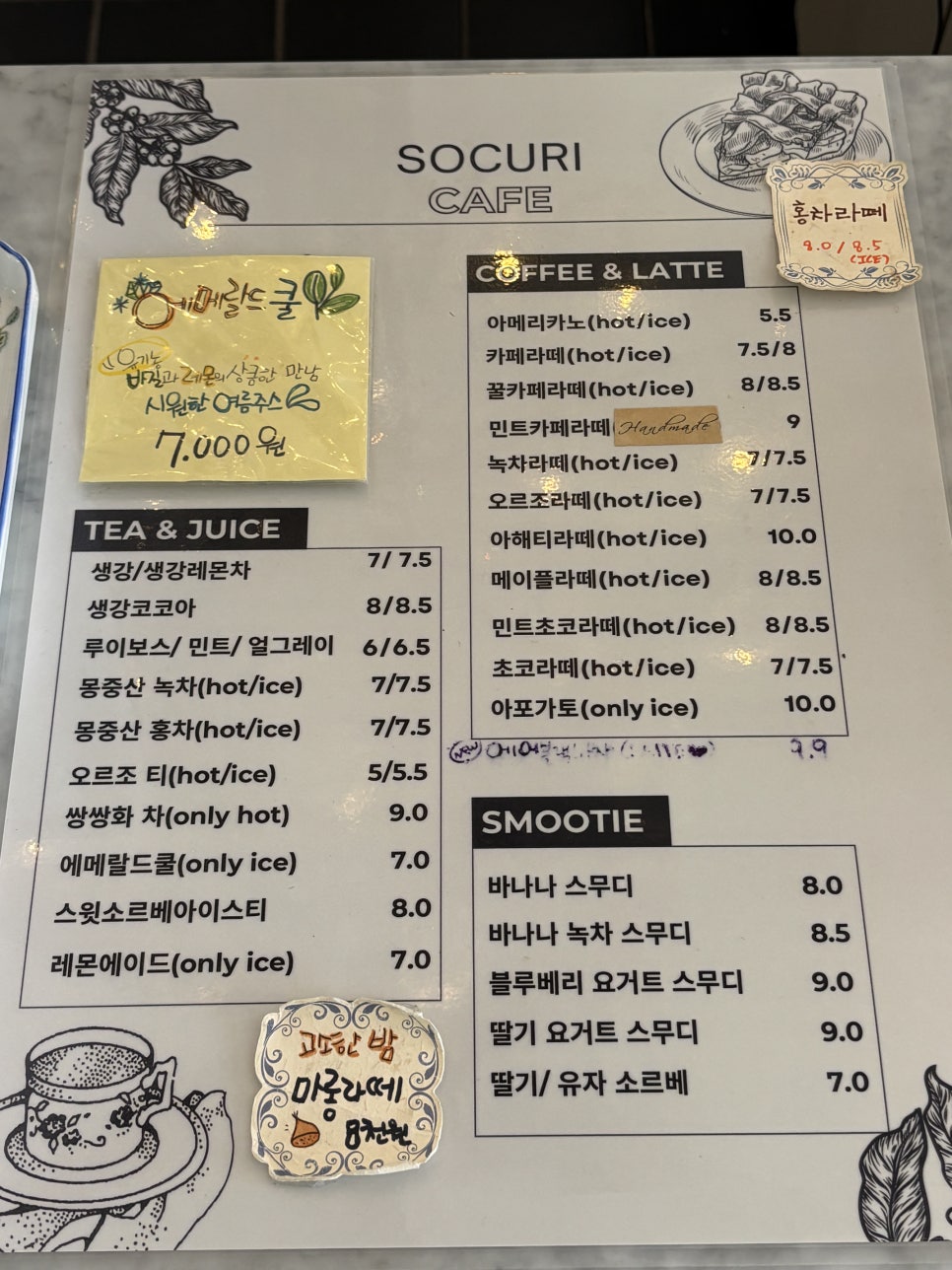 소쿠리파리 사진 6