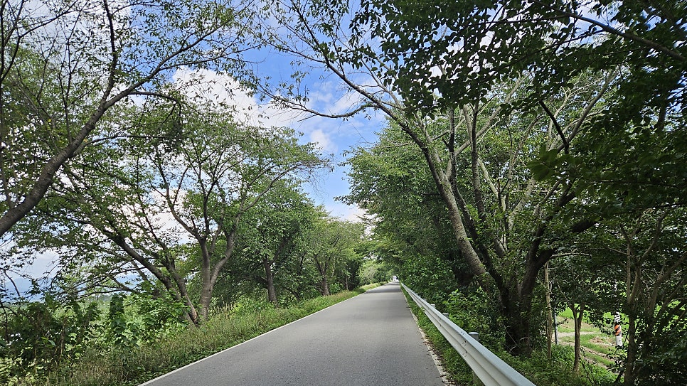 비비정이야기 사진 2