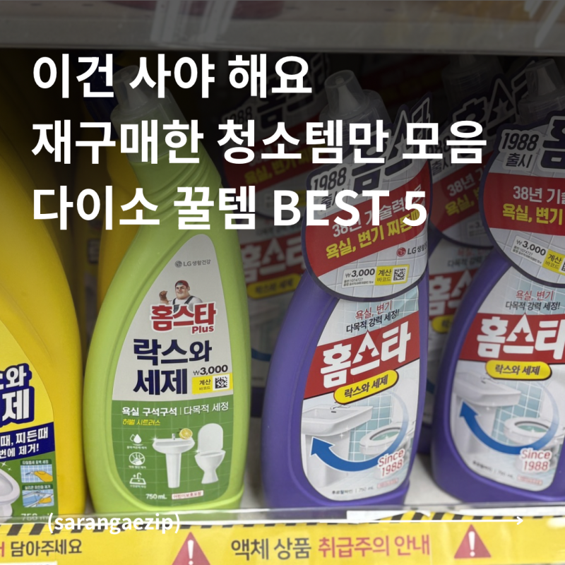 다이소 청소템 BEST 5 이건 진짜 사세요 | 직접 써보고 추천하는 가성비 끝판왕 꿀템 모음