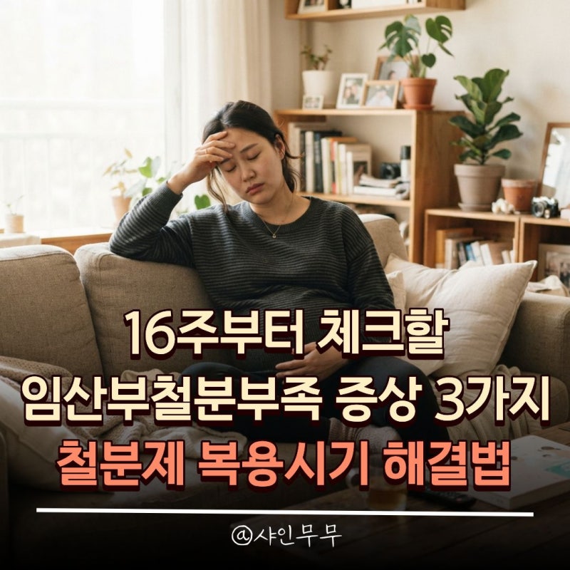 임산부철분부족 증상 3가지와 철분제 복용시기 해결법