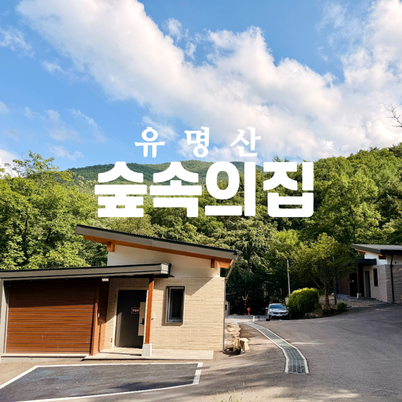 서울근교 계곡 물놀이 가평 유명산자연휴양림 숲속의집 고라니 꾀꼬리 예약 후기!