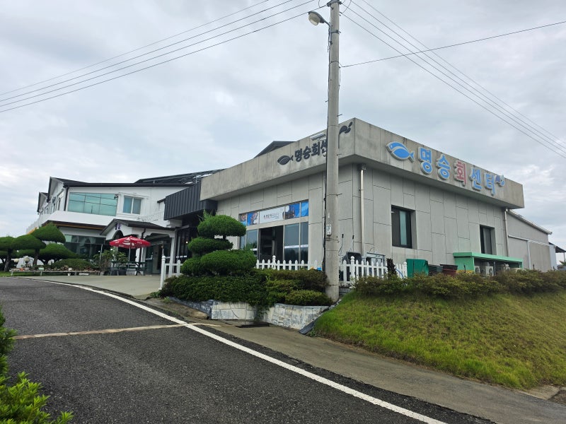 진도대교 근처 룸식당 찾았다! 해남 명승회센터 회백반 (ft. 친정엄마 모시고 간 두 번째 방문....