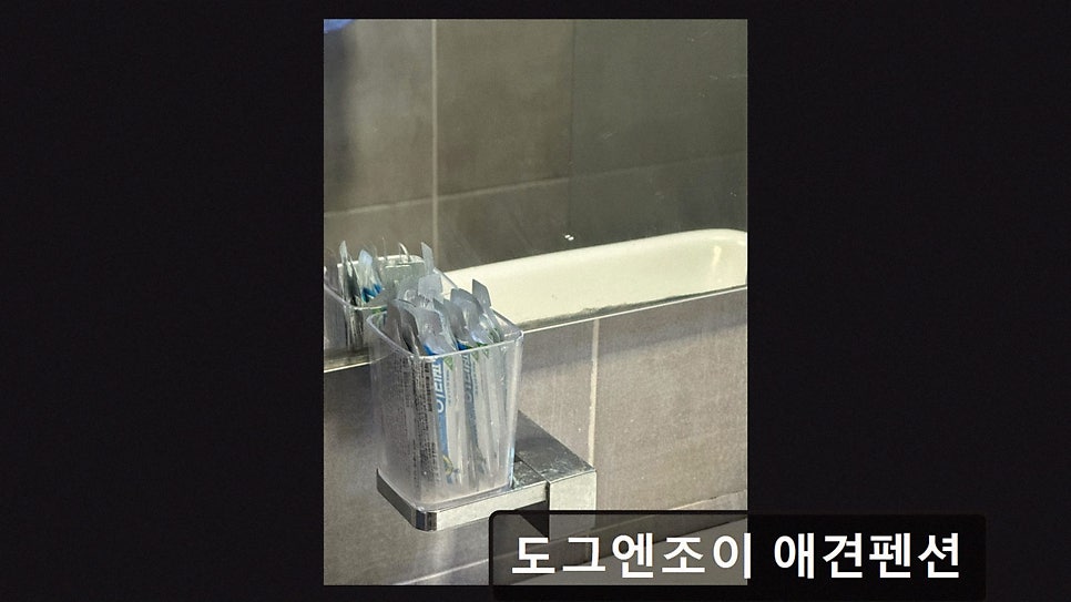 도그엔조이 사진 2