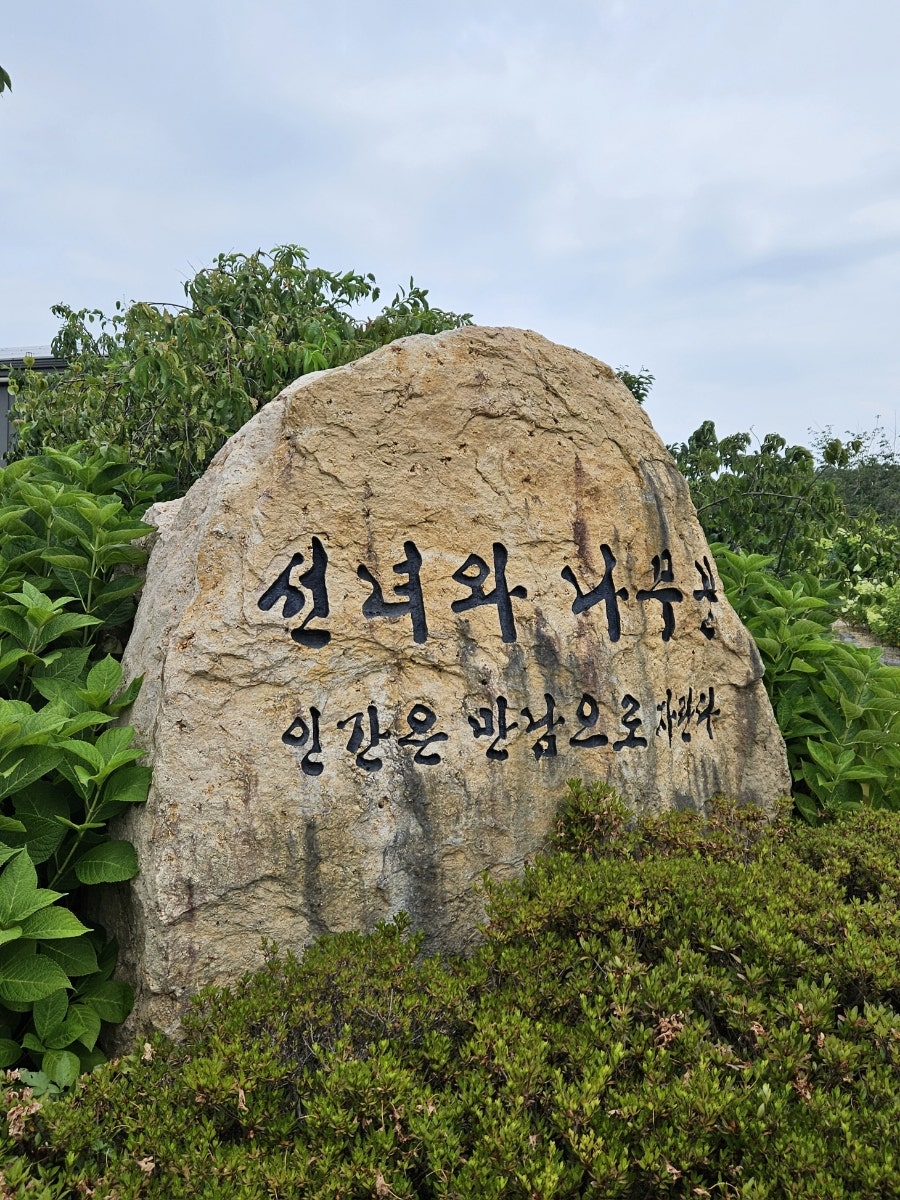 선녀와나무꾼 사진 1