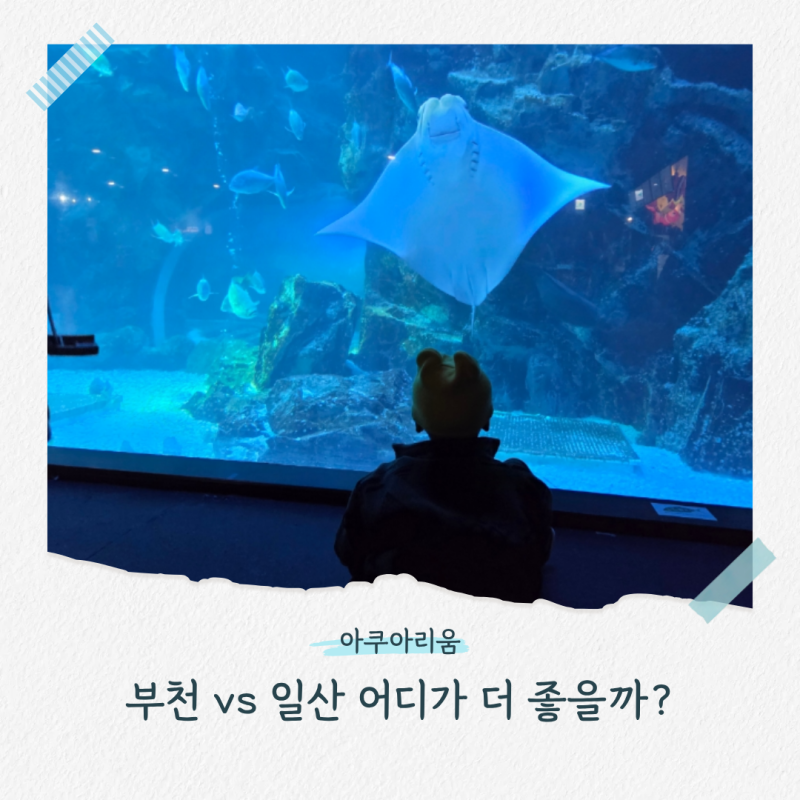부천 플레이아쿠아리움 vs 일산 아쿠아플라넷, 아기랑 가본 솔직 비교 후기! 어디가 더 좋았....