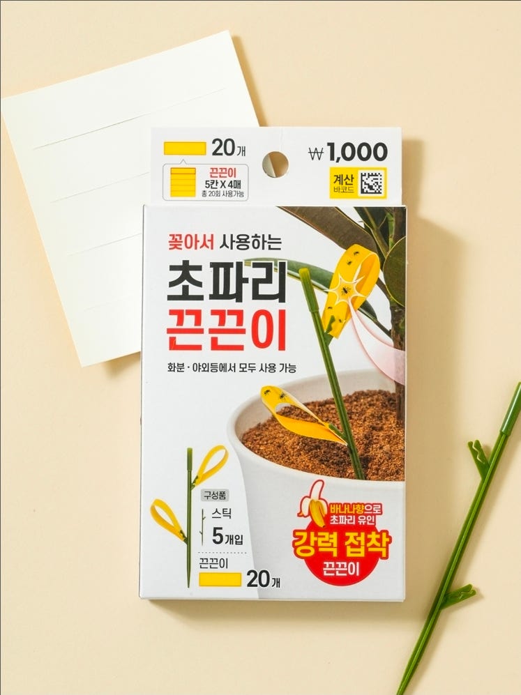 다이소 초파리 끈끈이 _자극적인 살충제 대신 선택한 안전한 주방 관리법