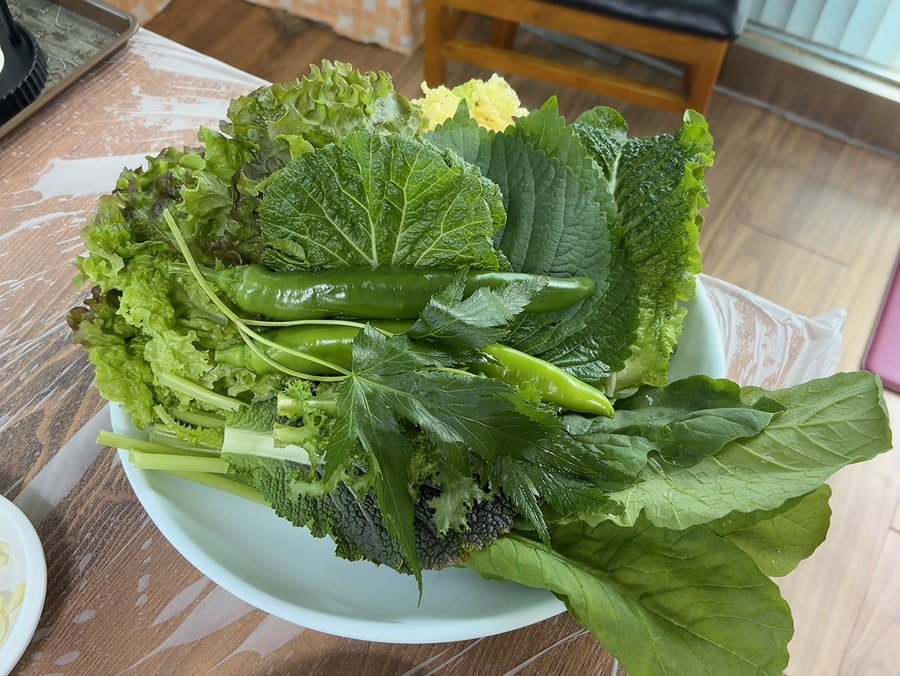 무궁화정 사진 6