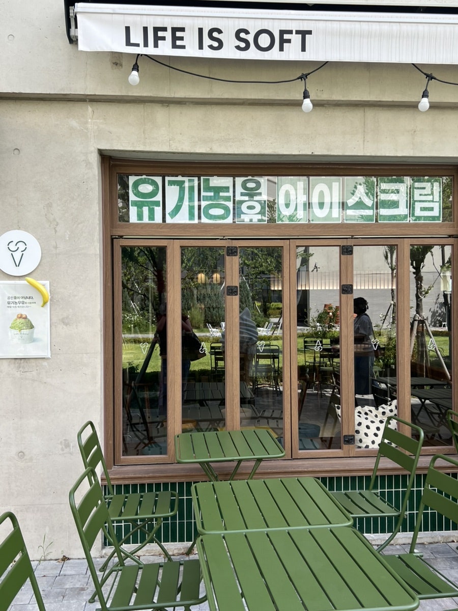 라이프 이즈 소프트 사진 6