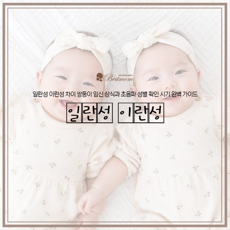 일란성 이란성 차이 쌍둥이 임신 상식과 초음파 성별 확인 시기 완벽 가이드