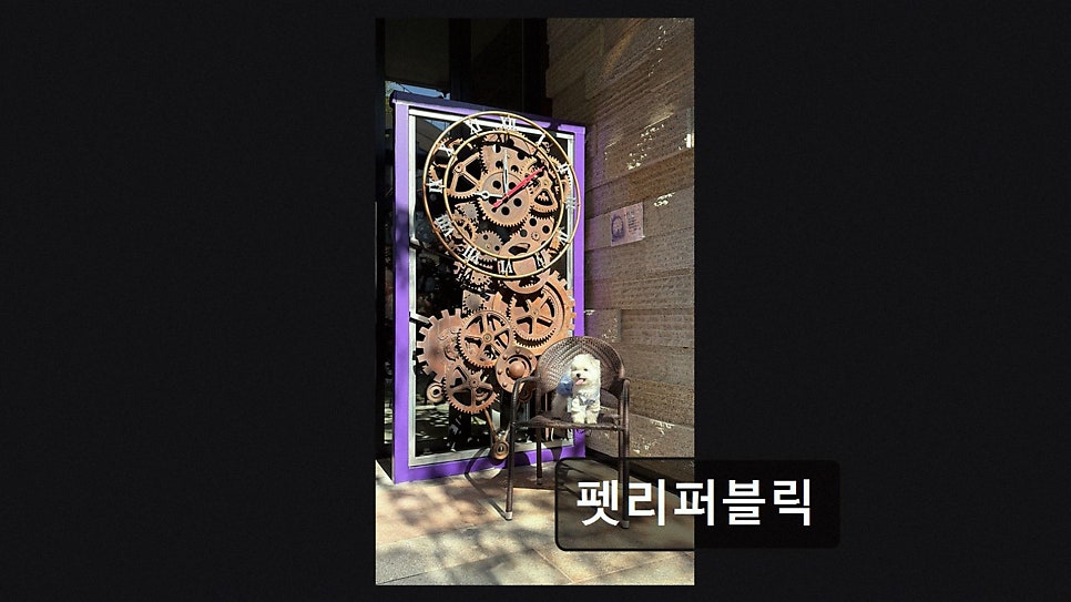 펫리퍼블릭 사진 2