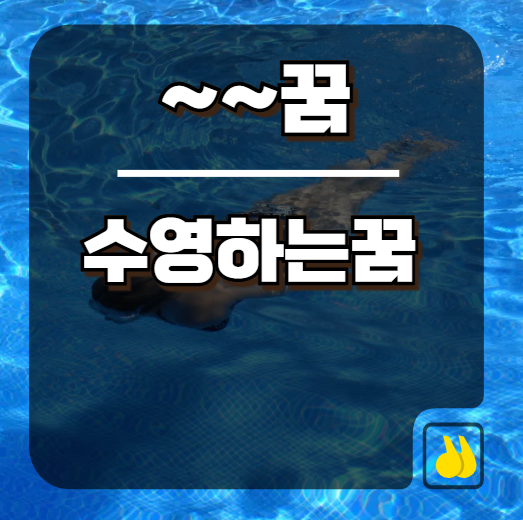 바다 한가운데서수영하는꿈 꾸고 일어났을 때의 그 기분과 엄청난 대운의 실체