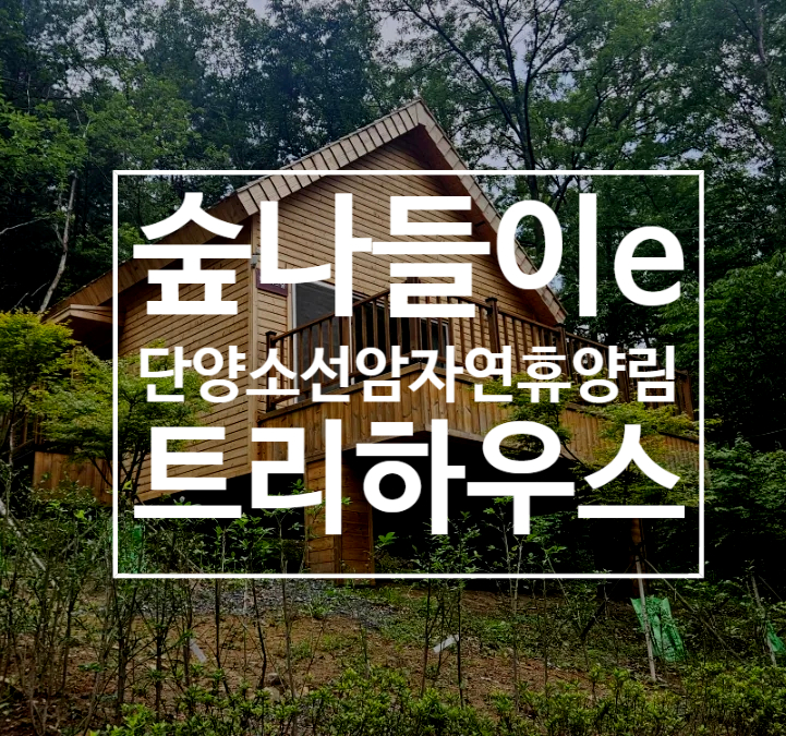 소선암자연휴양림 사진 1