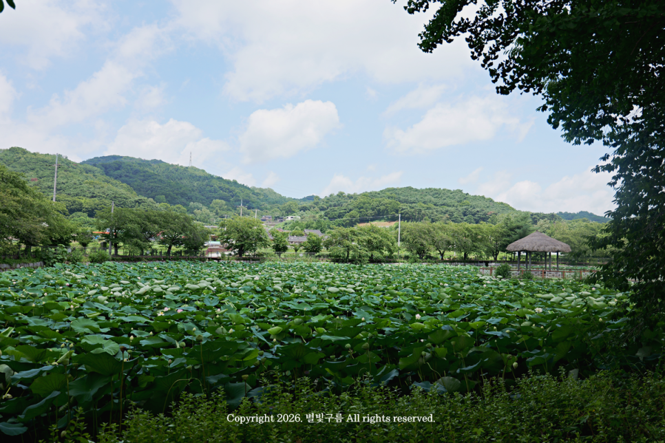 골정저수지 사진 3