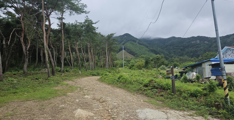 내동산 사진 4