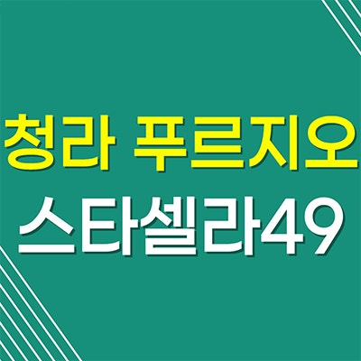 청라 푸르지오 스타셀라49 주거용 오피스텔 인천 청라동 미분양