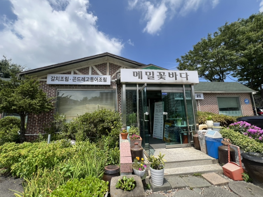 메밀꽃바다 사진 5