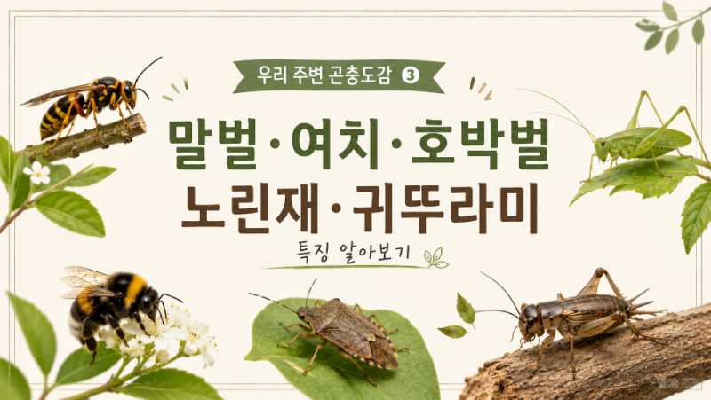 우리 주변 곤충도감 ③ | 말벌·여치·호박벌·노린재·귀뚜라미 특징 알아보기