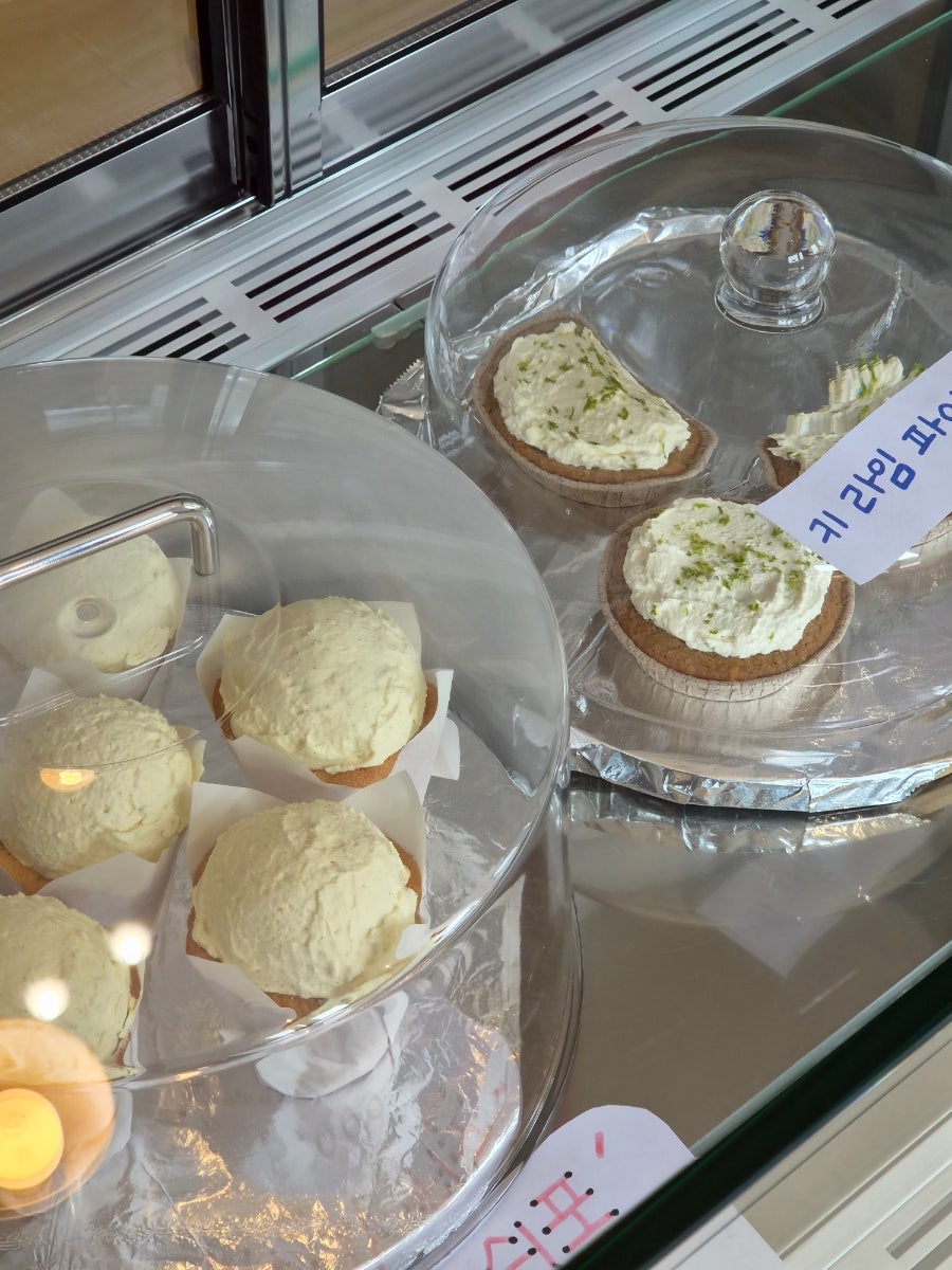 디츠 사진 6