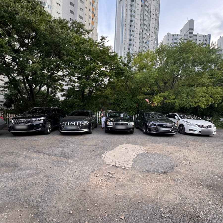 박가면가 사진 1