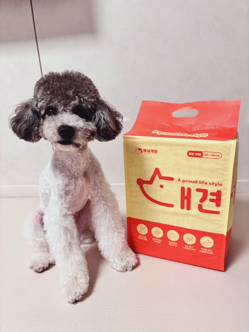 흡수력 좋은 강아지배변패드 백세개로 대견 한달 사용후기