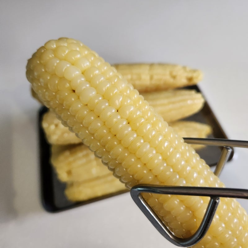 전기밥솥으로 간편하게 찰옥수수 삶는 법 뉴슈가 넣지 않고도 맛있게 삶기