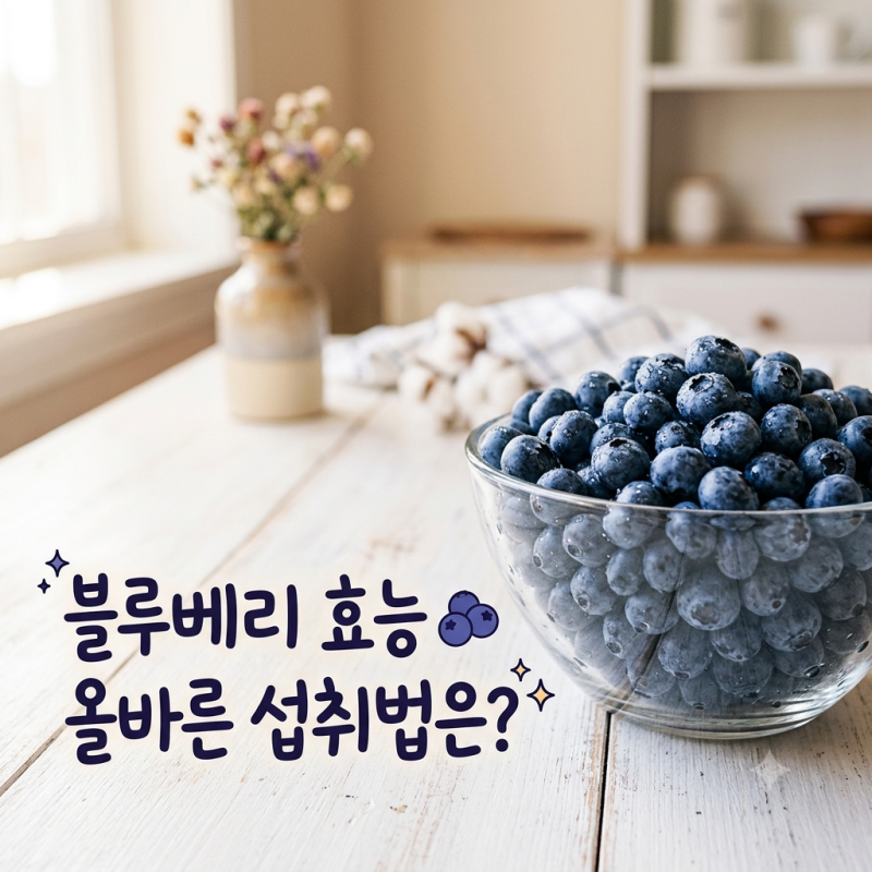 타임지 선정 10대 슈퍼푸드, 블루베리 효능과 영양 성분 및 올바른 섭취법 총정리