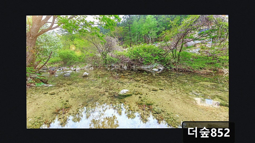 더숲852 사진 1