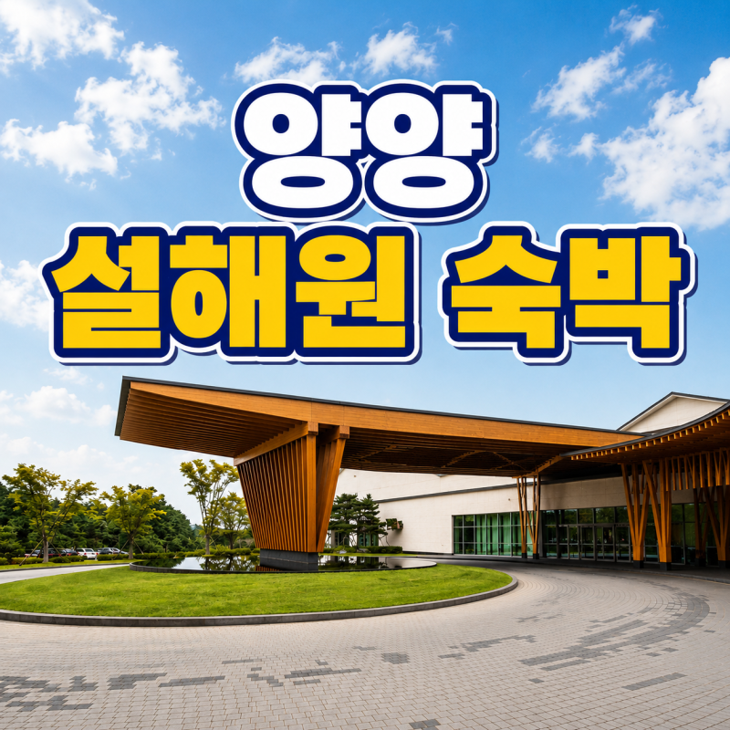 양양 설해원 숙박, 레귤러 객실 직접 묵어본 후기