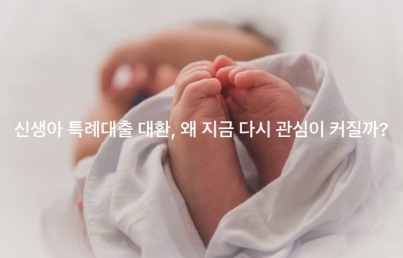 주담대 갈아타기 고민이라면? 신생아 특례대출 대환의 진짜 장단점