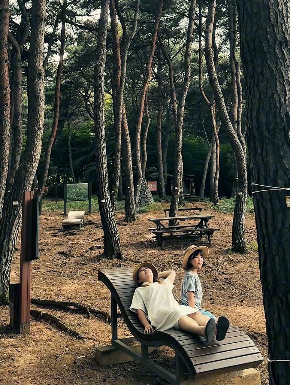 남산 산림욕장 사진 4