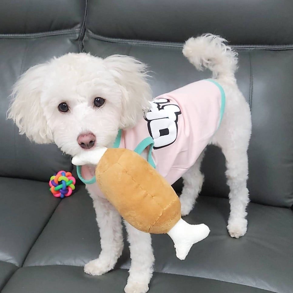 봉화집 사진 1