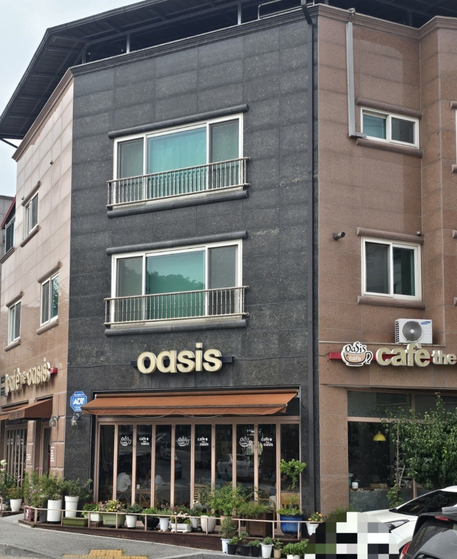 오아시스 사진 2