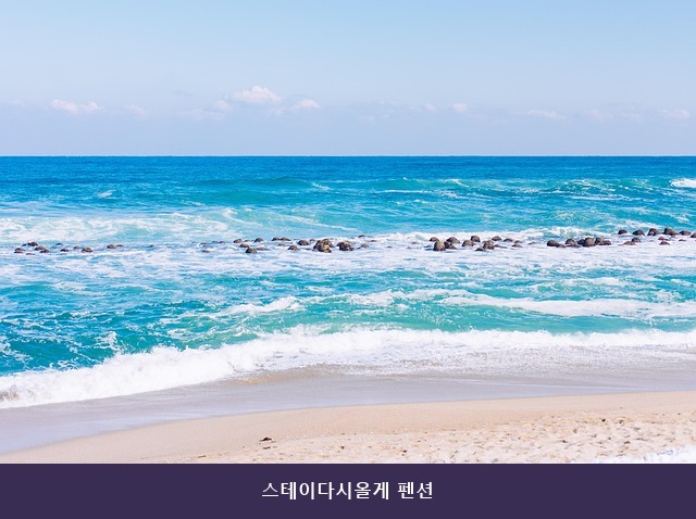 스테이다시올게 사진 3