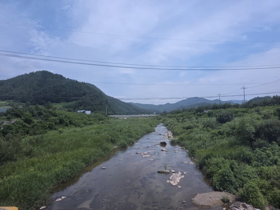 정선통나무펜션 사진 3
