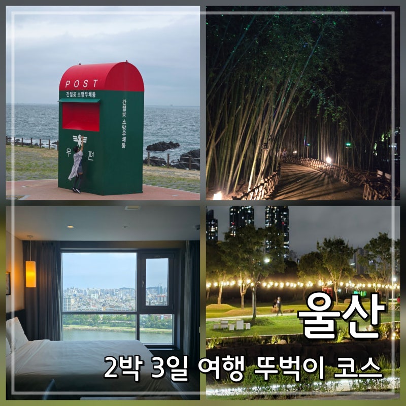 울산 2박 3일 뚜벅이 여행 코스: 숙소 맛집 가볼만한곳 버스 이동 꿀팁