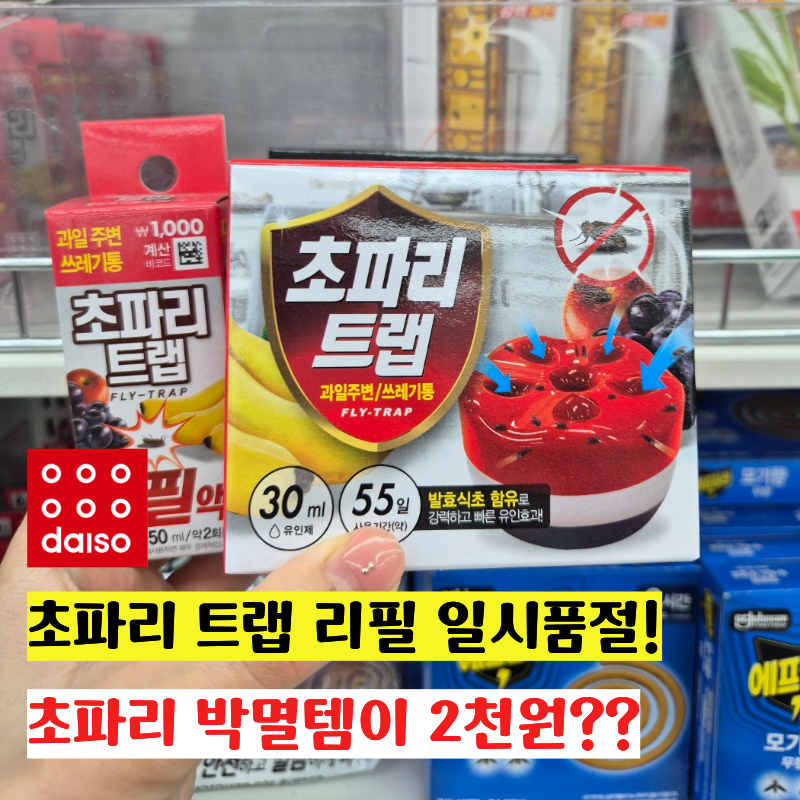 다이소 초파리트랩 일시품절? 2천원으로 여름철 초파리 싹잡기