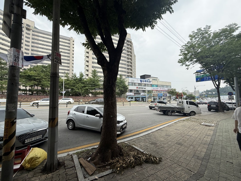 조마루감자탕 제천점 사진 2