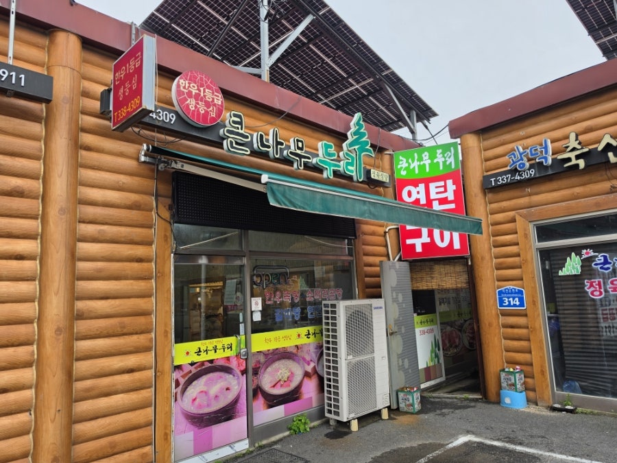 큰나무두리 사진 1