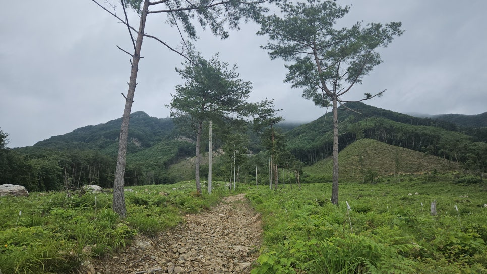 내동산 사진 5