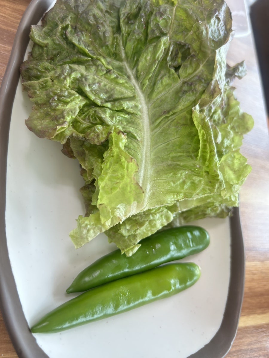 향수원 사진 5