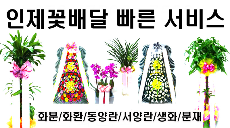 인제꽃집 사진 3