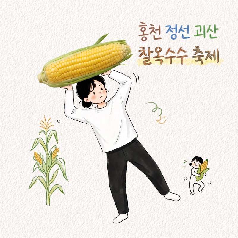 홍천 정선 괴산 찰옥수수 축제