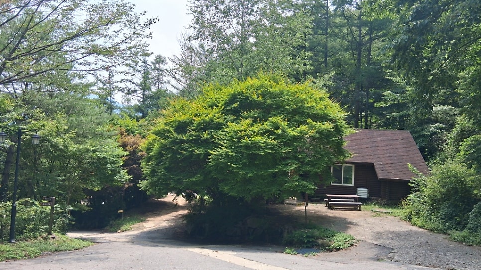 봉미산 사진 4
