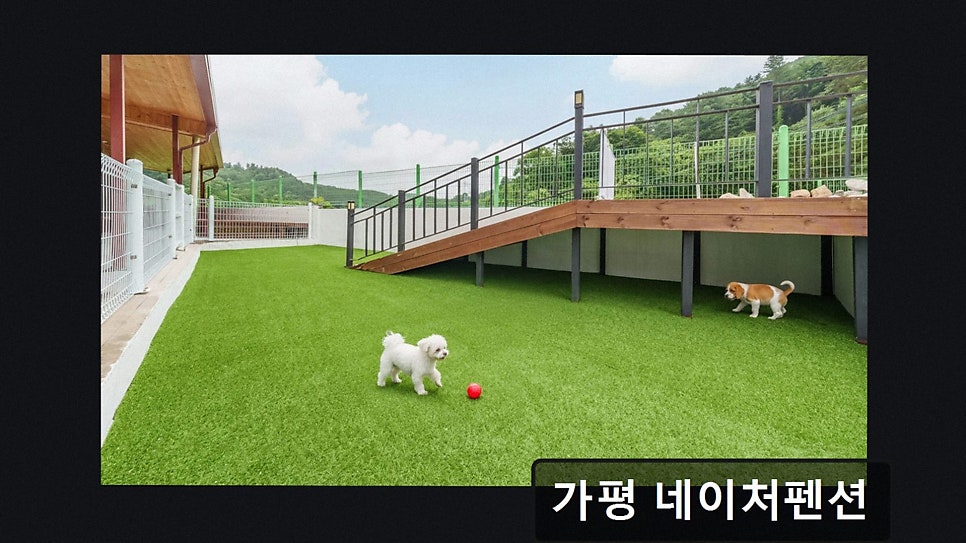 가평 네이처펜션 사진 3