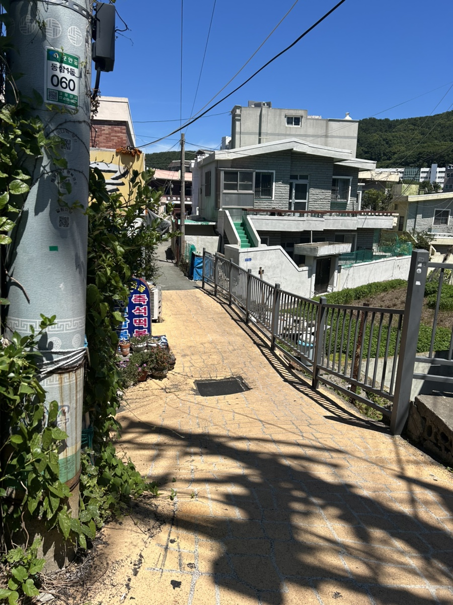 와글와글 사진 1